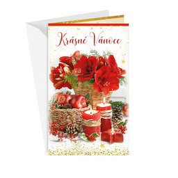 11-6459 Christmas greeting card CZ