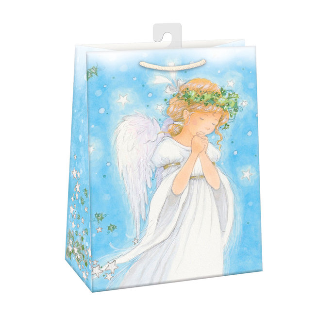 0883-0445 H Dárková taška vánoční PUV