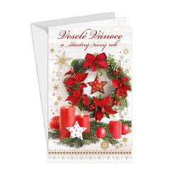 11-6462 Christmas greeting card CZ