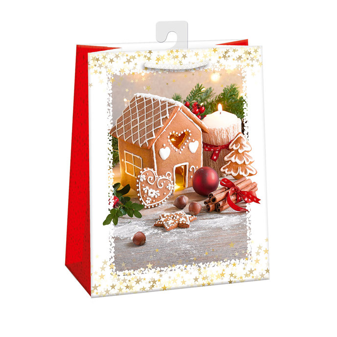 0883-0460 H Dárková taška vánoční LESKLÁ
