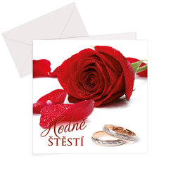 93-901c xWedding greeting card 3D CZ