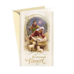 11-6368 Christmas greeting card CZ