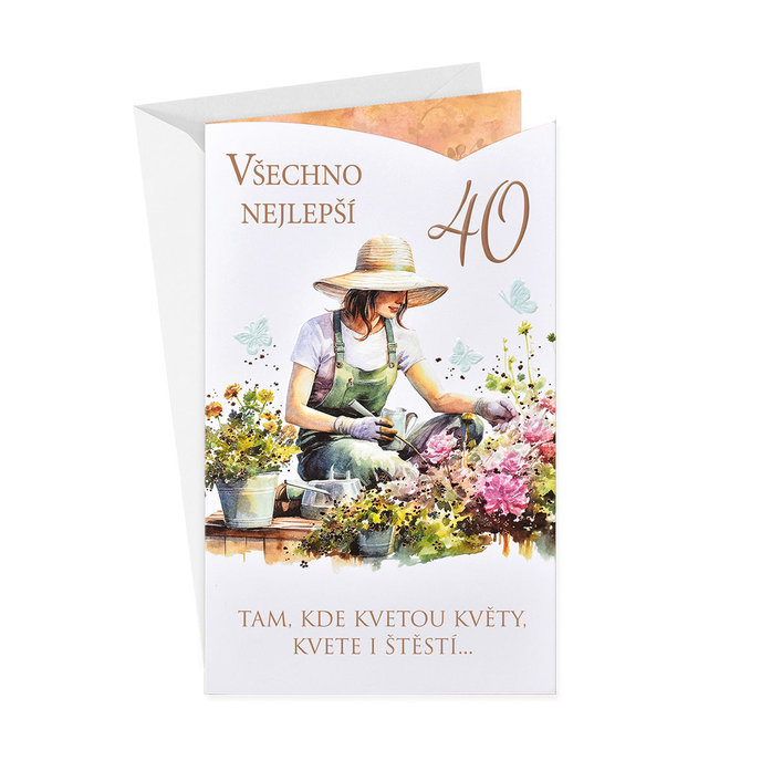 15-6587 Blahopřání gratulační  CZ/40
