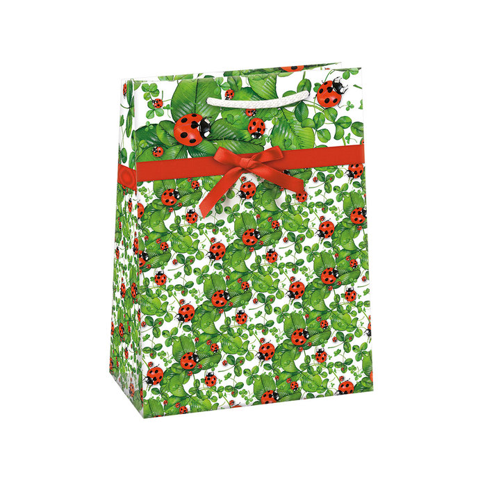 0757-0411 Dárková taška