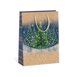 0854-0046 Gift bag NATUR