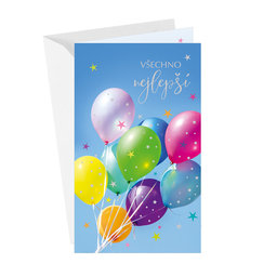 15-6543 Greeting card CZ