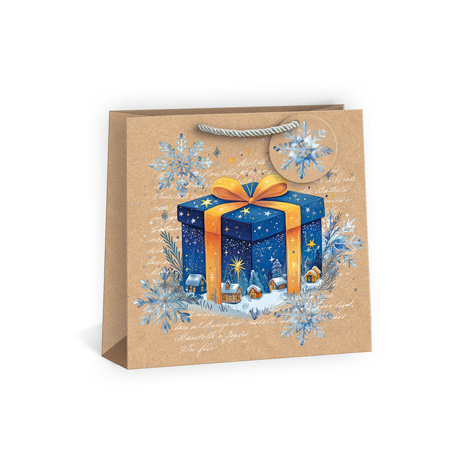 0845-0014 Gift bag SQUARE