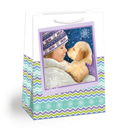 0893-0409 Gift bag PUV