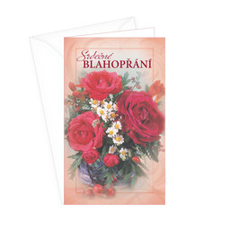 15-7052 Greeting card CZ