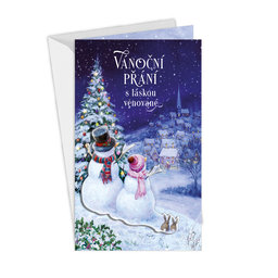 11-6498 Christmas greeting card CZ