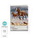 1591-0414 Sešit A5, 10 listů, TYP 512 Wild horses