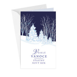 11-6482 Christmas greeting card CZ