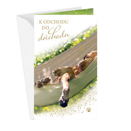 15-6552 Greeting card CZ/OD
