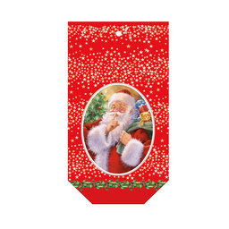 2011-1015 Santa sack 22x41x11cm