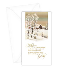 N-8-002 Christmas greeting card CZ