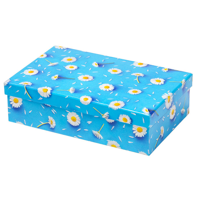 2540-0155 Dárková krabice 26,4x17,6x7,3cm /2500-8155/