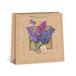 0780-0004 Gift bag SQUARE